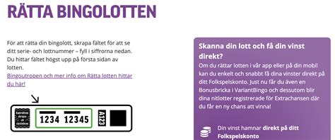rätta din bingolott|Guide: Så rätta du dina bingolotter 2024.